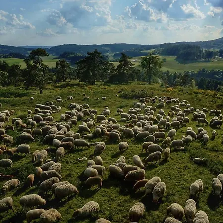 Pansiyon Marienzimmer *