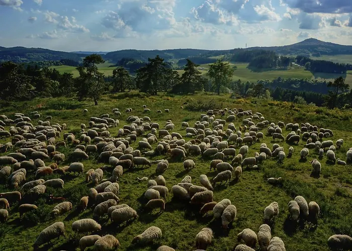 Alloggio in famiglia Marienzimmer *